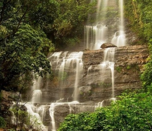 Zari falls